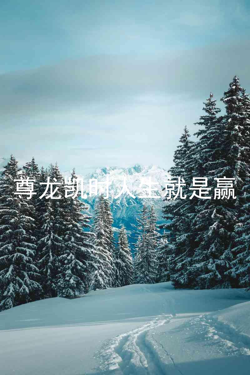 尊龙凯时人生就是赢