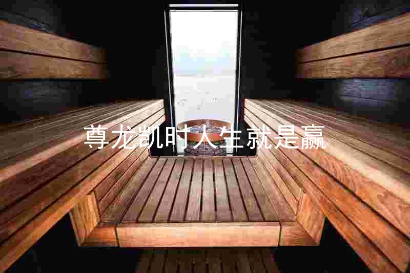 尊龙凯时人生就是赢